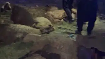 Gaziantep'te geceyi aydınlatan kaza: Sürüye dalan otomobil hurdaya döndü