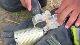 Konserve kutusunda hapis kalan kediye itfaiye eli değdi