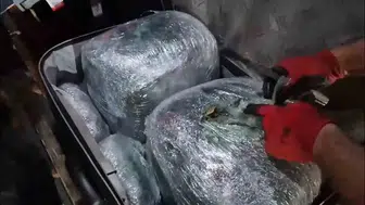 Otobüs bagajındaki gizli sevkiyat narkotik köpeğine takıldı
