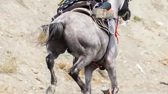 Ankara TMO Spor Kulübü Erzincan'daki zorlu sınavı başarıyla geçti