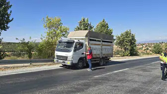 Uşak yollarında sıkı denetim: Salgın hastalıklara karşı jandarma ve tarım ekipleri devrede