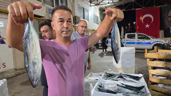 Bandırma'da ağlar denize indi: İlk günün bereketi sardalya ve palamutla geldi