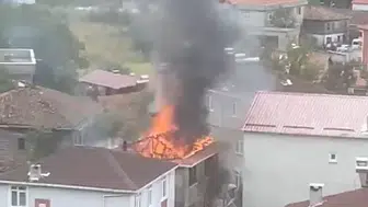 Cide'de bir yıllık emek küle döndü: Fındık hasadı alevlere teslim oldu