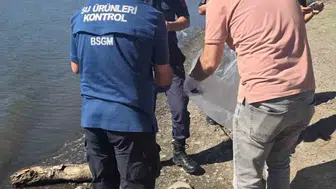 Atikhisar Barajı'nda alarm: Kıyıya vuran balıklar ve köpüren sular endişe yarattı