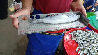 Tezgahlarda balık bereketi: Hayrabolu'da sıkı denetim mesaisi
