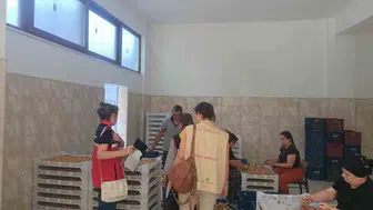 Dünya markası Aydın incirinde sıkı takip: Bozdoğan'da denetim mesaisi