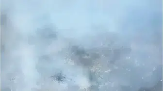 Alanya'da korkutan alevler: İki farklı noktada orman alarmı