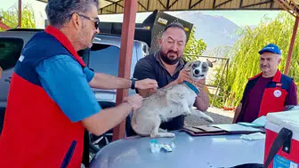 Çay ilçesinde evcil dostlar için kritik sağlık seferberliği