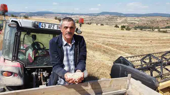 Borsa-20 nohut çeşidi tarlalarda rekor uyum gösterdi