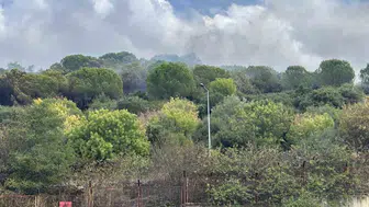 Maltepe'de korku dolu anlar: Alevler kışla sınırına dayandı