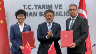Türkiye'nin yeşil altını Çin yolcusu: 60 milyon dolarlık dev anlaşma imzalandı