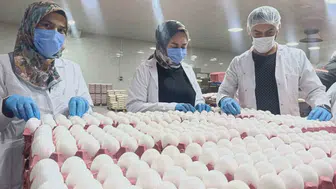 Mutfakların temel gıdasında sürpriz gelişme: Fiyatlar sabit kalacak