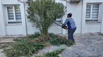 Bodrum'da Okulların Çehresi Değişiyor: Yeni Eğitim Dönemine Hazırlık Tam Gaz