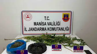 Sarıgöl'de jandarmanın titiz takibi sonuç verdi: Evinde kenevir yetiştiren şüpheli cezaevine gönderildi