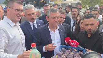 Prens Charles incir yemeyecek mi? Özgür Özel'den üreticiyi ayağa kaldıracak kooperatif çağrısı