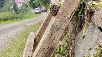 Rize'de merdiven krizi: Çay bahçesine giden yolun anahtarı artık kilitli