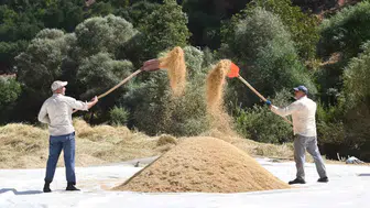 Modern Tarıma İnat Yüzyıllık Miras: Bitlis'in Çamurlu Tarlalarında İmece Ruhu