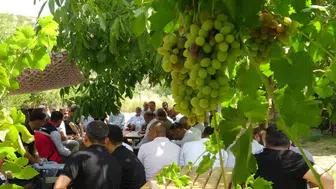Batman'da mezrone üzümü için tarihi dönüm noktası: Bağlıca'da kooperatifleşme seferberliği