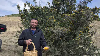Yozgat'ın dağlarında gizli şifa: Köylülerin sonbahar mesaisi başladı