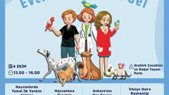 Ankara'da patili dostlar için büyük buluşma: Evcil hayvan sahiplerine özel gün