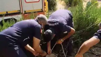 Sondaj kuyusundan gelen çaresiz miyavlamalar ekipleri harekete geçirdi