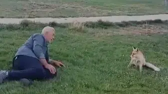 Doğanın kalbinde beklenmedik misafir: Tilkiyle kurulan o bağ herkesi şaşırttı