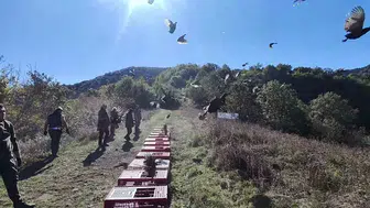 Zonguldak ormanlarında renkli kanatlar yeniden özgürlüğüne kavuştu