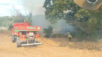 Edirne'de korkutan orman yangını: Ekipler alevlerle mücadele ediyor