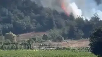 Bursa Kestel'de ormanlık alanda korkutan dumanlar yükseliyor