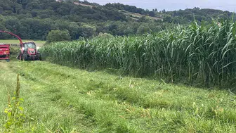 Sinop tarımında devrim niteliğinde adım: Bir dekardan 30 ton verim bekleniyor