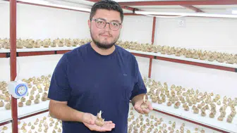 Kayseri'nin toprağında yetişmez denilen o bitkiyi raf sistemine taşıdı: Gramı 900 liradan alıcı buluyor