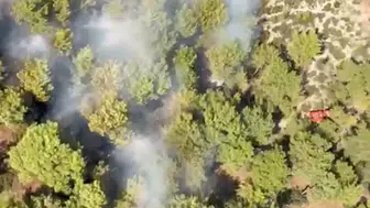 Antalya Kepez'de alevlerle zorlu mücadele: Ekipler seferber oldu