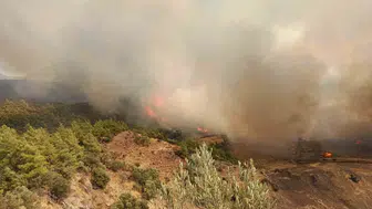 Antalya'da alevler yerleşim yerlerine yaklaşıyor: Ekipler seferber oldu