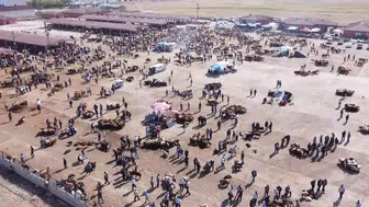 Ağrı'da kritik karar: Hayvan borsası şap hastalığı nedeniyle kepenk indirdi