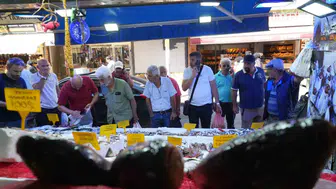 Samsun tezgahlarında palamut bereketi: Fiyatlar yarı yarıya düştü