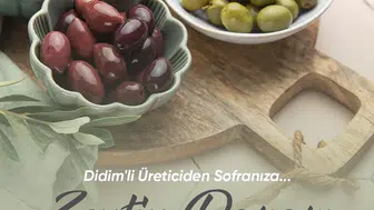 Didim'de üreticinin yüzünü güldürecek hamle: Zeytin Pazarı kapılarını açıyor