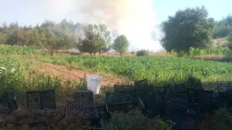 Bursa'nın ciğerleri yanıyor: Kestel'de alevlere karşı amansız mücadele