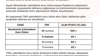 Üreticinin gözü kulağı TMO'daydı: Çekirdeksiz kuru üzüm için beklenen fiyatlar açıklandı