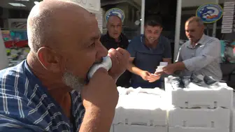 Kilis'te balık tezgahında şaşırtan anlar: Fiyatı görenler şaştı, usta çiğ çiğ yedi