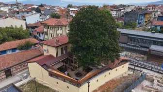 Sanat Güneşi'nin ilham kaynağına vefa: 300 yıllık ağacın gölgesinde yaşayan hatıralar