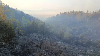 Kumluca'da kabus dolu gece: Alevler evleri yuttu, tahliye kararı alındı
