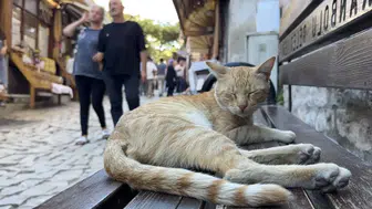 Zamanın durduğu sokaklarda hafta sonu bereketi: Safranbolu turist akınına uğradı