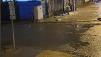 Arnavutköy'de gece yarısı dehşeti: Durağı taşladı, çevreye hakaretler yağdırdı