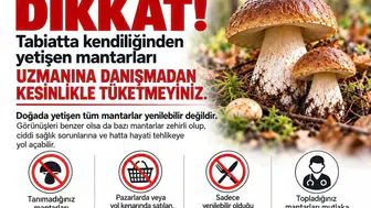 Sinop'ta sonbahar uyarısı: Doğadaki o lezzet ölüm saçıyor olabilir