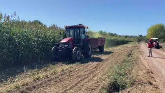 Körfez'de tarımda yeni dönem: Az suyla yüksek verim çiftçinin yüzünü güldürdü