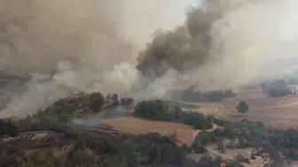 Adana'da alevler üç ilçeyi sardı: Yüzlerce kişi evlerini terk etmek zorunda kaldı