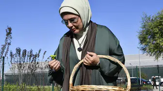 Anadolu'nun kadim tohumları Ankara'da hayat buldu: Emine Erdoğan'dan özel ziyaret