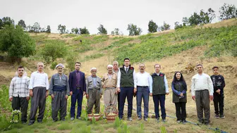 Şemdinli'nin bereketli bağlarında sezonun ilk üzümleri toplandı