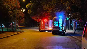 Sakarya Nehri'nde can pazarı: Hem düştü hem ağaç altında kaldı