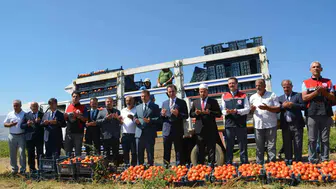 Bitlis'in toprakları bereket saçıyor: Domates üretiminde Türkiye'nin zirvesine göz kırptı
